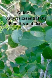Amyris eo 400