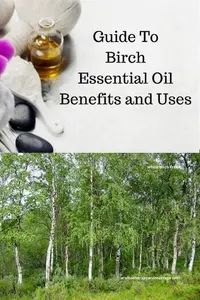 birch eo 400