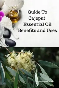 cajeput eo 400