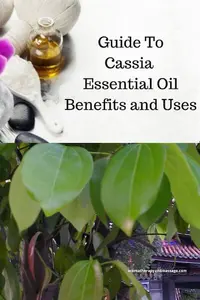 cassia eo 400