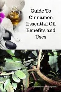 cinnamon eo 400