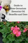 Rose Geranium Essential Oil