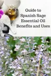 Guide to Spanish Sage Essential Oil Benefits and Uses 
