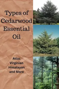 Types of Cedarwood Essential Oils