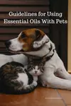 Explore the positive effects of essential oils for pets on wellbeing. Understand correct uses and safety tips for using oils with dogs, cats, horses, and birds.