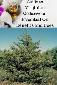 Virginian cedarwood 
