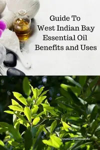 bay eo 400