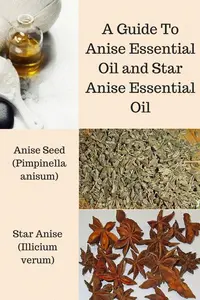 anise eo 400