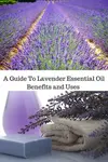 Lavender essential oil is gentle and known for having a balancing effect. Use it in skin and hair care, for relaxation, and to help relieve aches and pains.