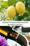The bright, uplifting, clean aroma of lemon essential oil makes it great for energizing, cleaning, clearing the air and the body, and more.