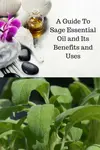 Sage essential oil has uses and benefits in aromatherapy but must be used with caution due to its components. Learn more about how to use sage safely.