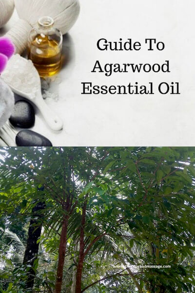 Aromatherapy supplies with the words Guide To Agarwood Essential Oil and photo of an agarwood tree.