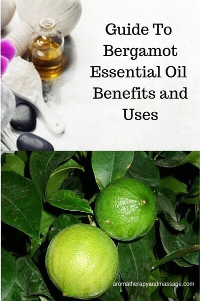 Bergamot Essential Oil Benefits And Uses In Aromatherapy