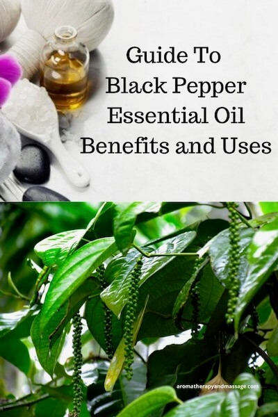 Aromatherapy supplies with the words Guide To Black Pepper Essential Oil Benefits and Uses and photo of pepper plant.