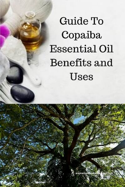 Aromatherapy supplies with the words Guide To Copaiba Essential Oil Benefits and Uses and photo of a copaiba tree.