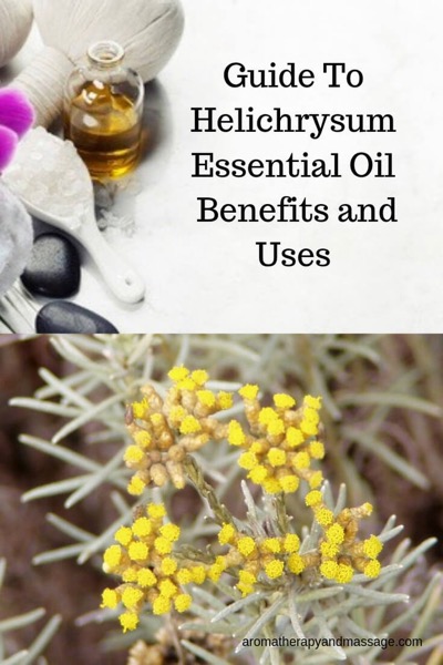 The words Guide To Helichrysum Essential Oil Benefits and Uses with pictures of aromatherapy supplies and helichrysum flowers.