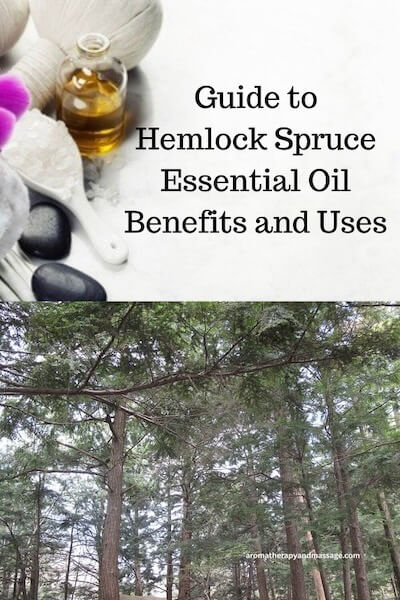 Aromatherapy supplies with the words Guide to Hemlock Spruce Essential Oil Benefits and Uses and photo of hemlock trees.