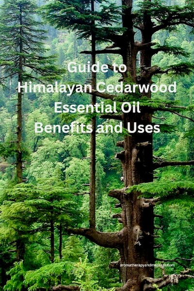 Photo of Himalayan cedarwood trees with the words Guide to Himalayan Cedarwood Essential Oil Benefits and Uses.