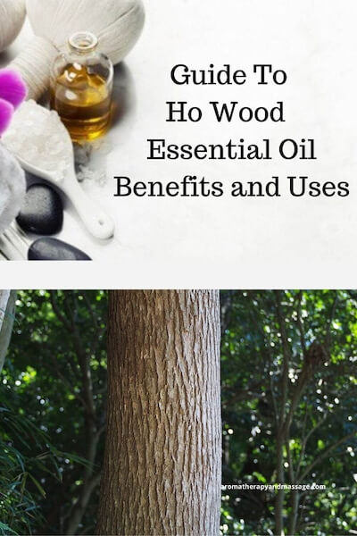 Aromatherapy supplies with the words Guide To Ho Wood Essential Oil Benefits and Uses and photo of a ho wood tree.