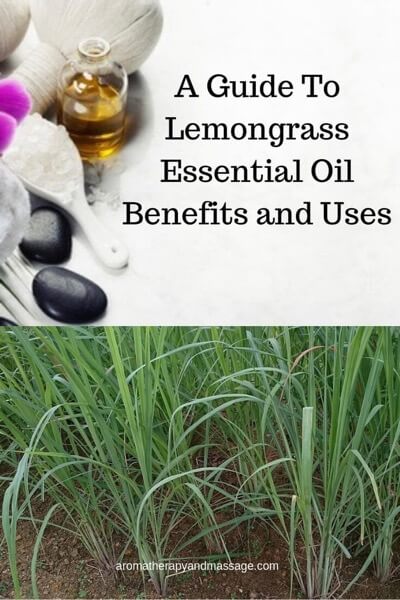 A Guide To Lemongrass Essential Oil and Its Benefits and Uses