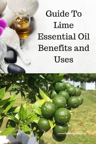 Guide To Lime Essential Oil Aromatherapy supplies with the words Lime Essential Oil Benefits and Uses and photo of lime tree.