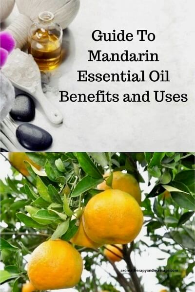 Aromatherapy supplies with the words Guide To Mandarin Essential Oil Benefits and Uses and photo of mandarins on tree.