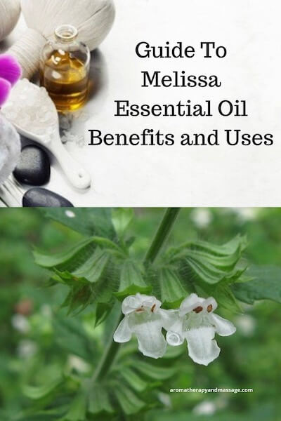 Aromatherapy supplies with the words Guide To Melissa Essential Oil Benefits and Uses and picture of a melissa (lemon balm) plant.