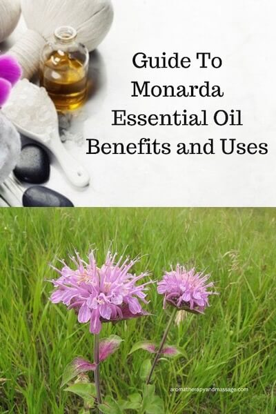 Aromatherapy supplies and photo of monarda flowers with the words Guide To Monarda Essential Oil Benefits and Uses