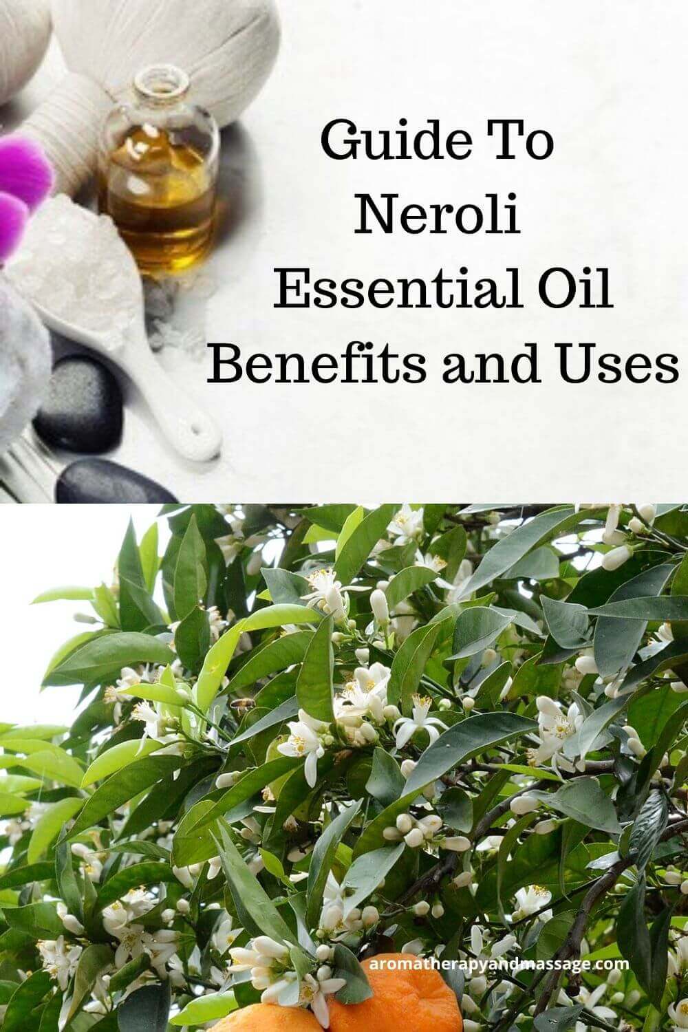 Aromatherapy supplies with the words Guide To Neroli Essential Oil Benefits and Uses and photo of a bitter orange tree.