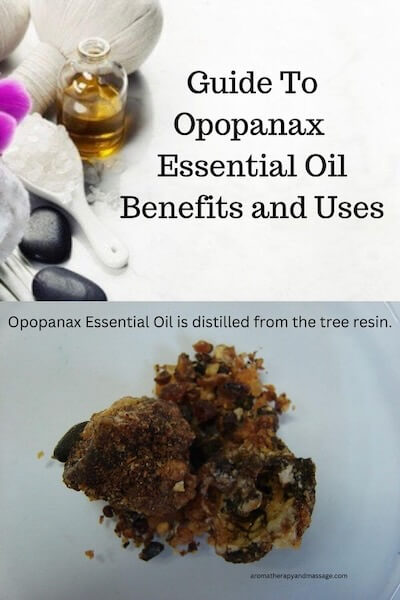Aromatherapy supplies with the words Guide To Opopanax Essential Oil Benefits and Uses and photo of opopanax resin.