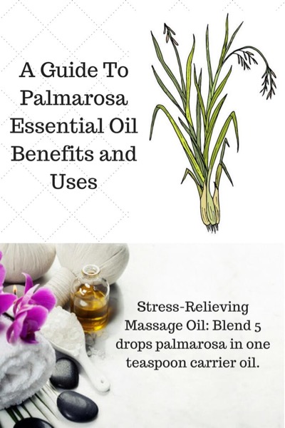 Palmarosa plant with the words A Guide To Palmarosa Essential Oils Benefits and Uses and photo of aromatherapy supplies.