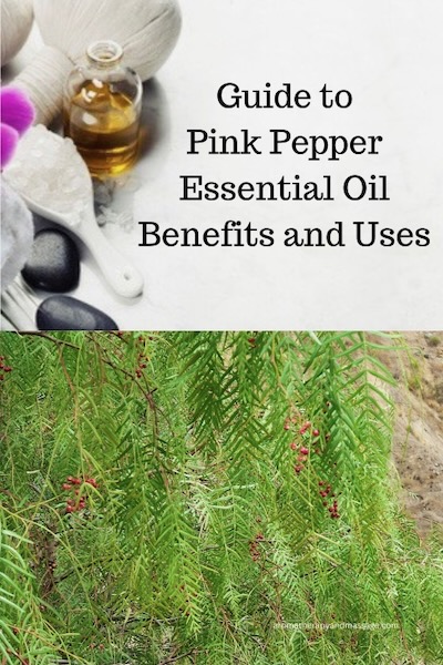 Photo of aromatherapy supplies and a pink pepper plant with the words Guide to Pink Pepper Essential Oil Benefits and Uses