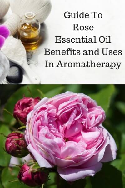 Rose Essential Oil Benefits And Uses In Aromatherapy