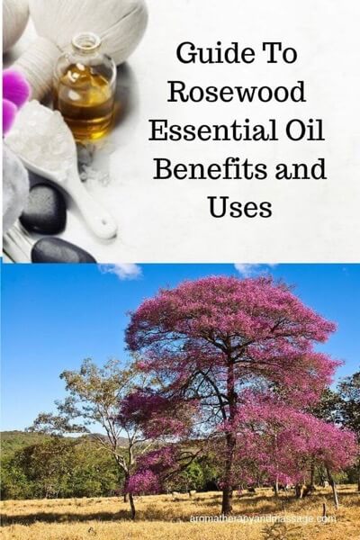 Rosewood Essential Oil Benefits and Uses In Aromatherapy