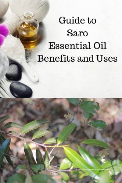 Aromatherapy supplies with the words Guide to Saro Essential Oil Benefits and Uses and photo of saro leaves.