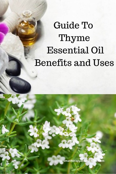 Aromatherapy supplies with the words Guide To Thyme Essential Oil Benefits and Uses and photo of a thyme plant.
