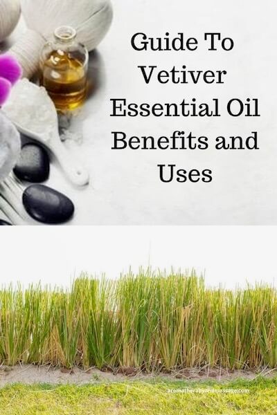 Guide To Vetiver Essential Oil Aromatherapy supplies with the words Guide To Vetiver Essential Oil Benefits and Uses and photo of vetiver grass.