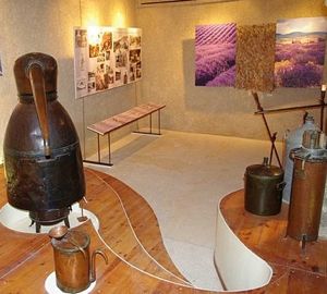 Essential Oil Distillation Equipment in a museum.