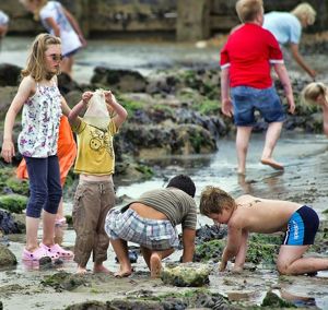 Children Playing | Essential Oils For Children