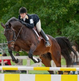 Horse and rider jumping hurdle