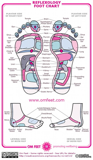 Reflexology Chart For Labor