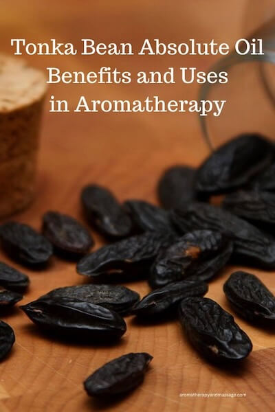Photo of tonka beans with the words Tonka Bean Absolute Oil Benefits and Uses in Aromatherapy