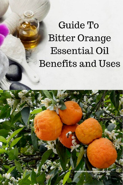 Aromatherapy supplies with the words Guide To Bitter Orange Essential Oil Benefits and Uses and photo of bitter orange tree.