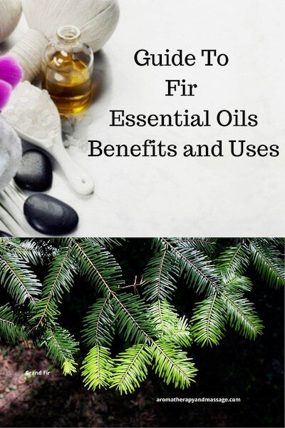 Aromatherapy supplies with the words Guide To Fir Essential Oils Benefits and Uses and photo of Grand fir needles.