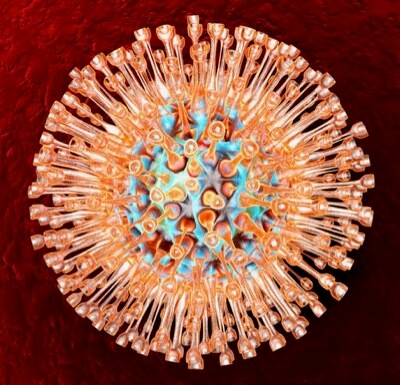 Medical Visualization of the Herpes Virus