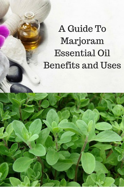 Aromatherapy supplies with the words Guide To Marjoram Essential Oil Benefits and Uses and photo marjoram plant.