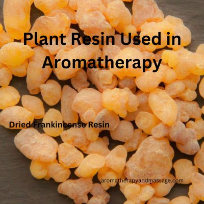 Photo of frankincense resin with the words Plant Resin Used in Aromatherapy.