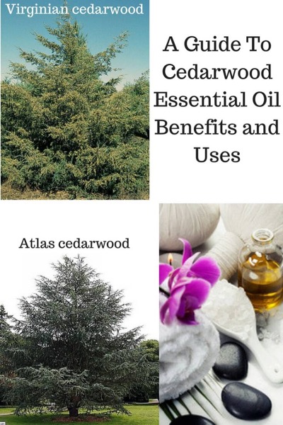 The words A Guide To Cedarwood Essential Oil Benefits and Uses with photos of Atlas and Virginian cedarwood