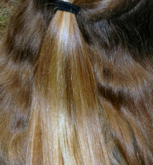 Using Essential Oils for Dry Hair Using Essential Oils for Dry Hair